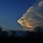 Weather Shoe Protection - silhouette of trees during daytime