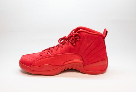 Sole Shoes - unpaired red Air Jordan 12